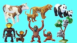 PLAYMOBIL Toy Wild Zoo Animals Collection For Kids  Tiger Panda Koala Gorilla [upl. by Robinett751]