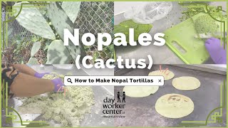 Learn How to Make Nopal Cactus Tortillas [upl. by Dessma]