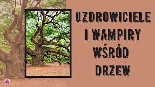 UZDROWICIELE I WAMPIRY WŚRÓD DRZEW [upl. by Hulen]