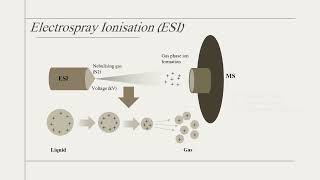 Quickly understand various types of LCMS [upl. by Shanley]