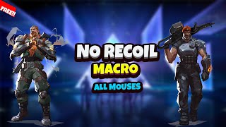 Valorant NO Recoil Macros  ALL MOUSES  TUTORIAL2024 [upl. by Jsandye]