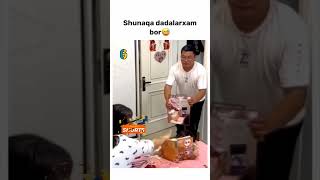 SHUNAQA DADALARXAM BOR 😂❤️funny 1mln comedyvideos instagram subscribe japan rek rells [upl. by Ellene]