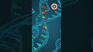 Genome Mapping trendingshortsvideo viral genetics geneexpression shortsviraltrick [upl. by Ahon]