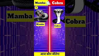 King Cobra 🐍 Vs Black Mamba 😱  Full Comparison in hindi  facts shorts ytshorts [upl. by Gaylord]