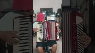 Forro ferradoacordeon sanfona instrumentalmusic shorts2024 shortsyoutube [upl. by Herminia]