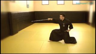 Iaido 11 Katas del Iaido  Serie Seiza No Bu [upl. by Noivax422]