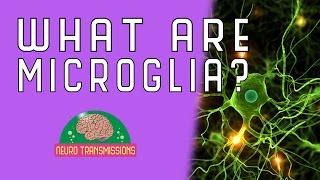 What Are Microglia [upl. by Ycart]