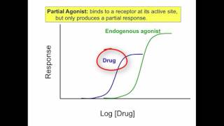 Agonist Antagonist Partial Agonist Inverse Agonist [upl. by Lucille407]