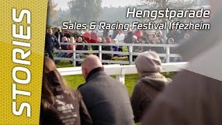 Hengstparade in Iffezheim [upl. by Dafodil]