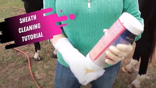 Sheath Cleaning Tutorial for Horses [upl. by Olrac]