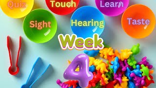 Weekly Fun amp Learning sensory quiz 2024 Week 4 [upl. by Hanahs189]