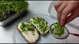 Microgreens Health Benefits of Microgreens [upl. by Nonrev]