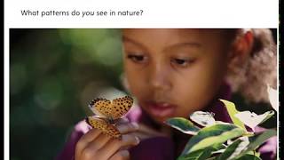 Patterns in nature by Jennifer Roy AR read aloud accelerated reader [upl. by Nuahsar102]