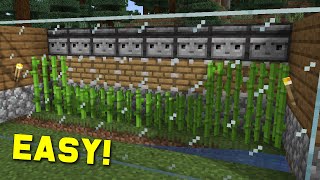 Easiest Sugarcane Farm Minecraft 117  Automatic and Fast to Build  2 minute tuts ep 2 [upl. by Hako]