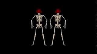 Funny Skeleton Dance II  Royalty free clip [upl. by Schreiber]