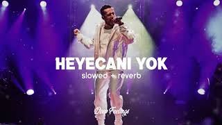 Gazapizm  Heyecanı Yok Slowed  Reverb [upl. by Ttevy]