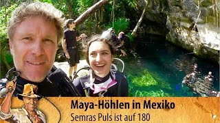 Cenoten in Mexiko Abtauchen in den Höhlen der Mayas  3 [upl. by Maite619]