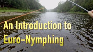 An introduction to the basics of Euro Nymphing [upl. by Etnuhs]