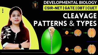 Cleavage Patterns and Types  Meroblastic Cleavage  Radial Cleavage  Spiral Cleavage  CSIR NET [upl. by Siramaj9]