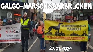 Galgo Marsch 🐕🐾🚶🚶‍♀️🐶 Tierschutz Saarbrücken Hunde Podenco Demo 27012024 [upl. by Keemahs]