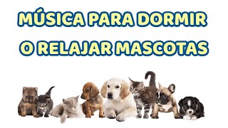 ♫🐶 MUSICA para RELAJAR PERROS y GATOS ♫🐱 11 HORAS  Calmar y Relajar 💤 FUNCIONA [upl. by Tucker485]