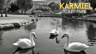 Footage \\\ Galilee Park Karmiel 🇮🇱 [upl. by Elburt]