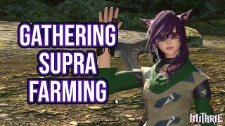 FFXIV 235 0402 Mining  Botanist Supra Farming Guide [upl. by Fermin]