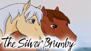 The Silver Brumby  Episode 4  Fighting For Freedom  HD  Full Episode  Videos For Kids [upl. by Idnyc]