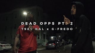 7981 Kal Ft G Fredo  Dead Opps pt 2 Official Music Video [upl. by Llenrrad]