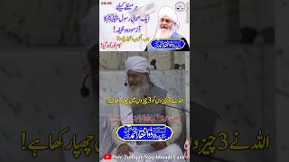 Woh 3 Chezeb Konsi Huti Hen Sunyee😍 Peer Zulfiqar Ahmed Naqshbandi❤️ shorts like share [upl. by Artur540]