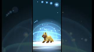 Evolving Shiny Poochyena in pokemongo pokemon shinypokemon [upl. by Kelwunn]