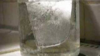 roses metal melting in boiling water part 1 [upl. by Torr]