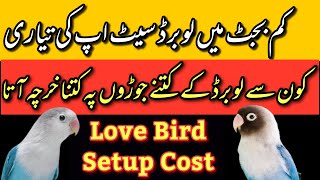 Love Bird Setup  Love Bird low cost Setup  lovebirds fusibility [upl. by Segalman]