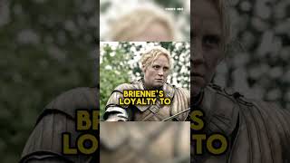 How POWERFUL is Brienne of Tarth gameofthrones houseofthedragon asoiaf [upl. by Nabalas]