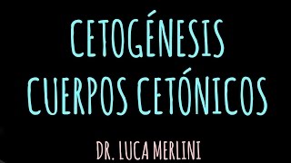 Cetogénesis Cuerpos Cetónicos [upl. by Eliseo]