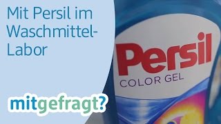 Wäsche sauber waschen Im WaschmittelLabor von Persil  dm mitgefragt Folge 25 [upl. by Atiekal]