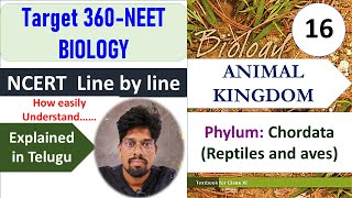 NCERTANIMAL KINGDOM16 NEET NCERT Biology line by line explanation in Telugu Class 11 HSR Bioin [upl. by Giselle]