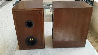 How to Build the Best DIY Bookshelf Speakers [upl. by Yrral]