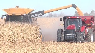 Neighbors Help Injured Farmer with Harvest Near StLibory [upl. by Grekin]