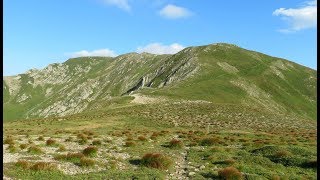 Monte Prado m 2054 dal passo Pradarena 16 08 2018 [upl. by Niletac647]