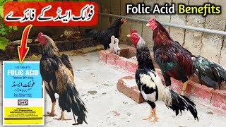 Folic Acid Tablets Benefits  Aseel Murga Care by Haseeb Chishti [upl. by Elwin]