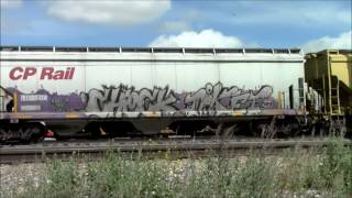 FREIGHT TRAIN GRAFFITI 127 [upl. by Apollo]