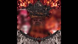 CASKET MUSH  THE PUNGENT STENCH OF ROTT AND INFECTIOUS SUBJECTION 2023 GOREGRIND [upl. by Eastman792]