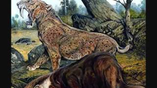 Top 10 Most Dangerous Prehistoric Animals NO DINOSAURS YouTube [upl. by Zilber]