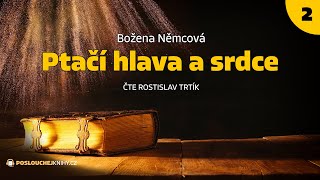 Božena Němcová Ptačí hlava a srdce 24 [upl. by Singband]