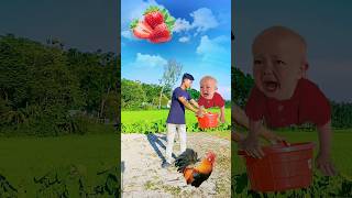 4 September 2024Flying crying babies Catching vs hen parrot amp puppy vs yellow lizardfunny shorts [upl. by Rube177]