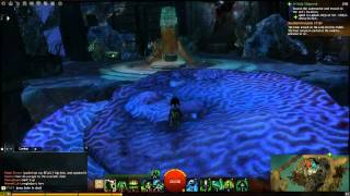 Guild Wars 2 Straits of Devastation Vista Points Tutorial [upl. by Naujik]