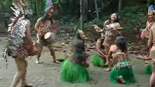 Danza Indigena en el Amazonas [upl. by Tripp]