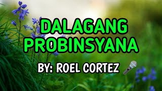 Dalagang Probinsyana  Roel Cortez KARAOKE VERSION [upl. by Epifano]