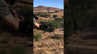 chasse hunter hunting chasseur wildboar sanglier caccia al cinghiale [upl. by Norym131]